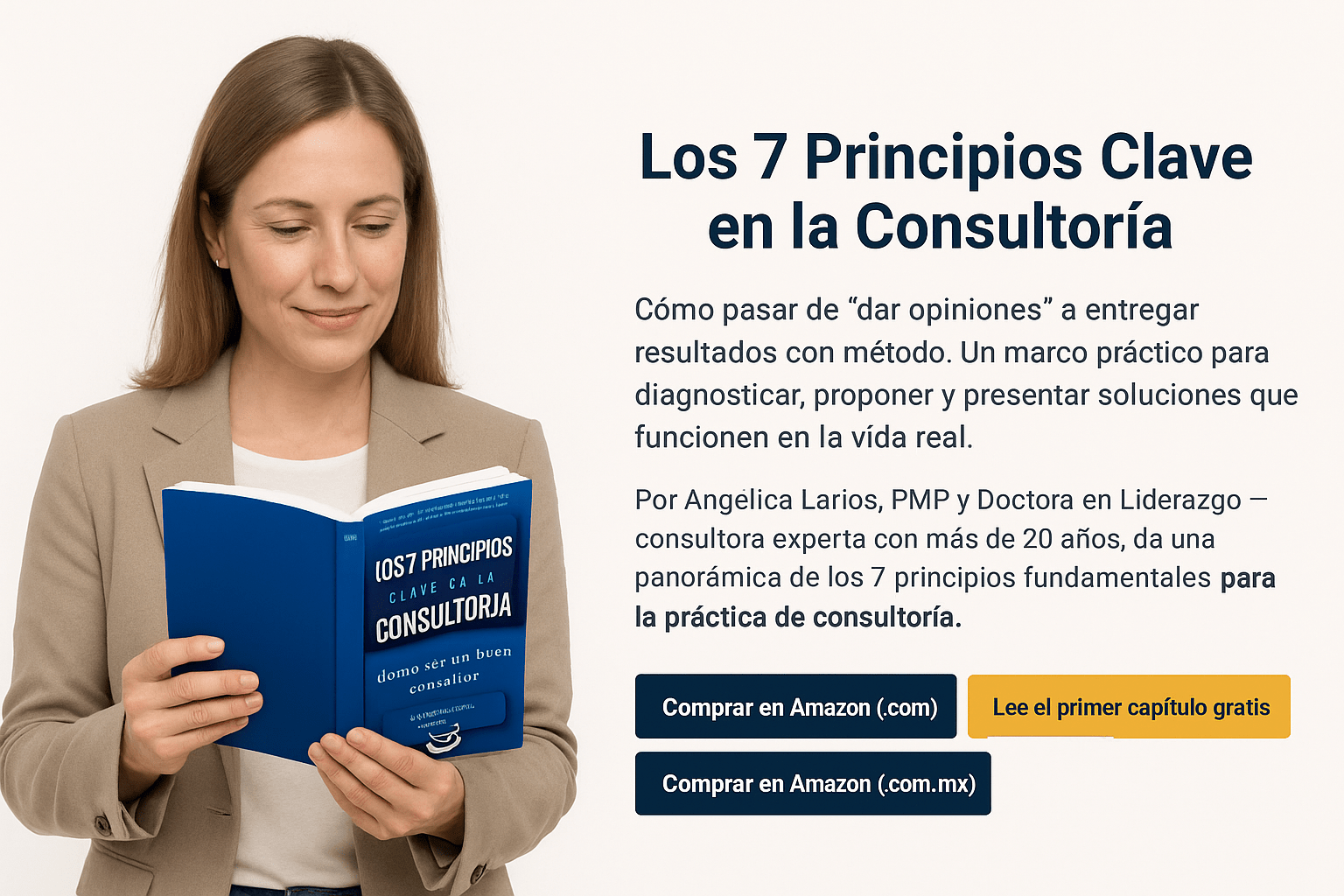 Los 7 Principios Clave en la Consultoría