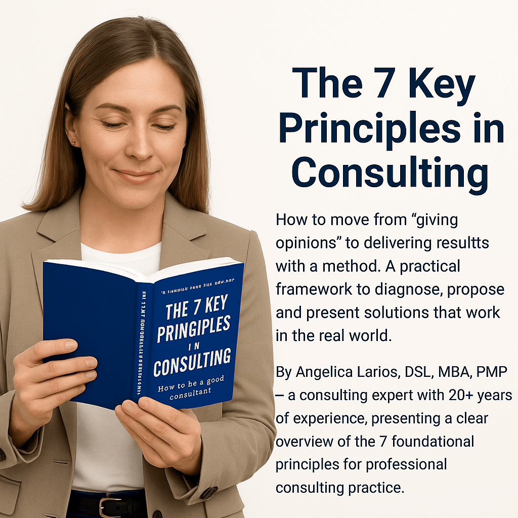 The 7 Key Principles in Consulting